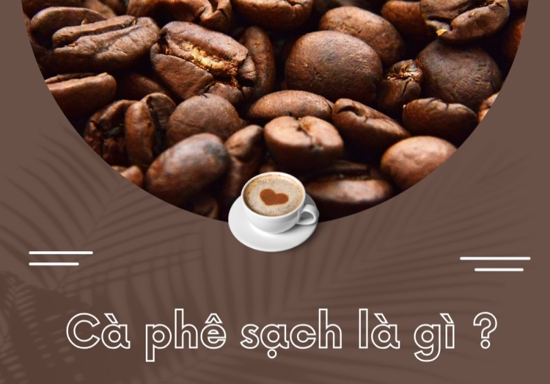 ca-phe-sach-la-gi