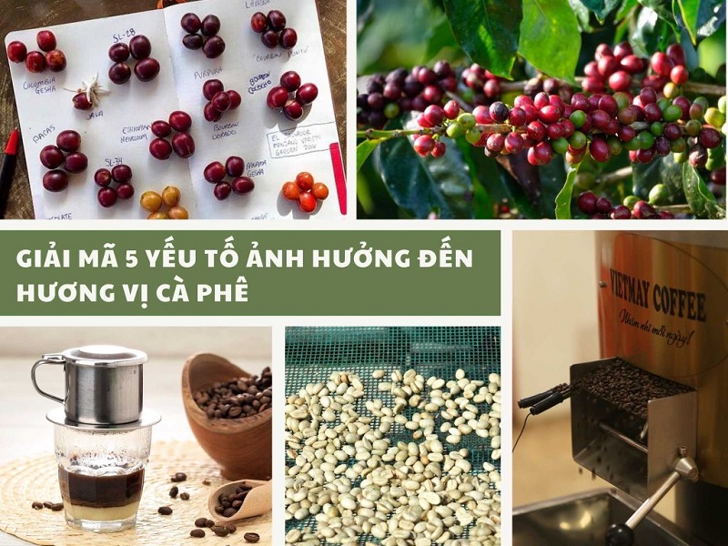 cac-yeu-to-anh-huong-den-huong-vi-ca-phe