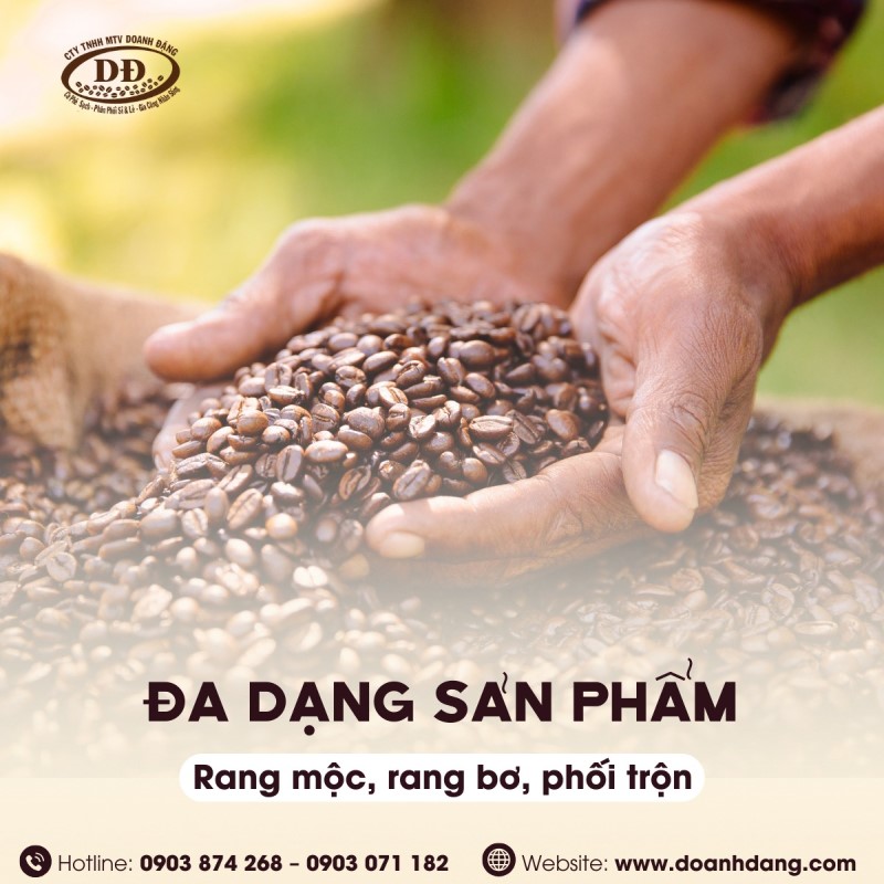 chon-hat-ca-phe-chat-luong-tu-doanh-dang