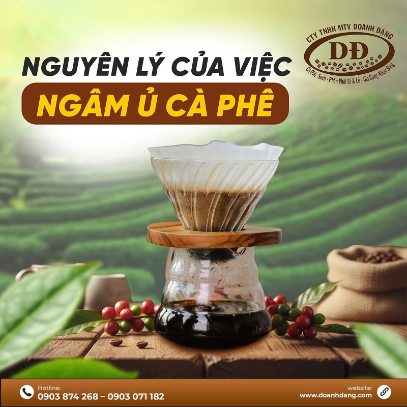 nguyen-ly-cua-viec-ngam-u-ca-phe-prewetting