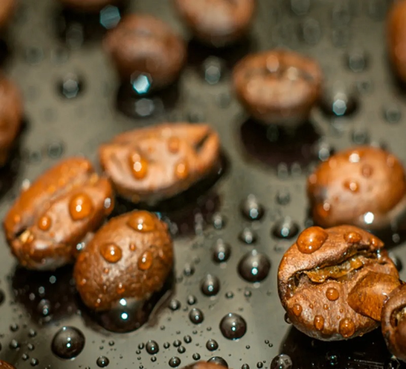 phuong-phap-nuoc-san-xuat-cafe-decaf
