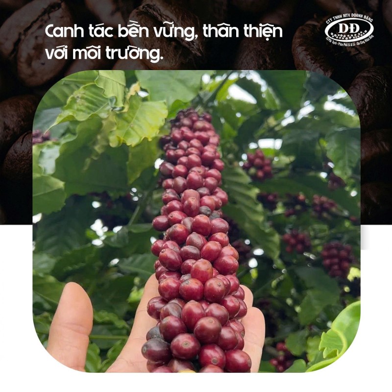 quy-trinh-trong-va-cham-soc