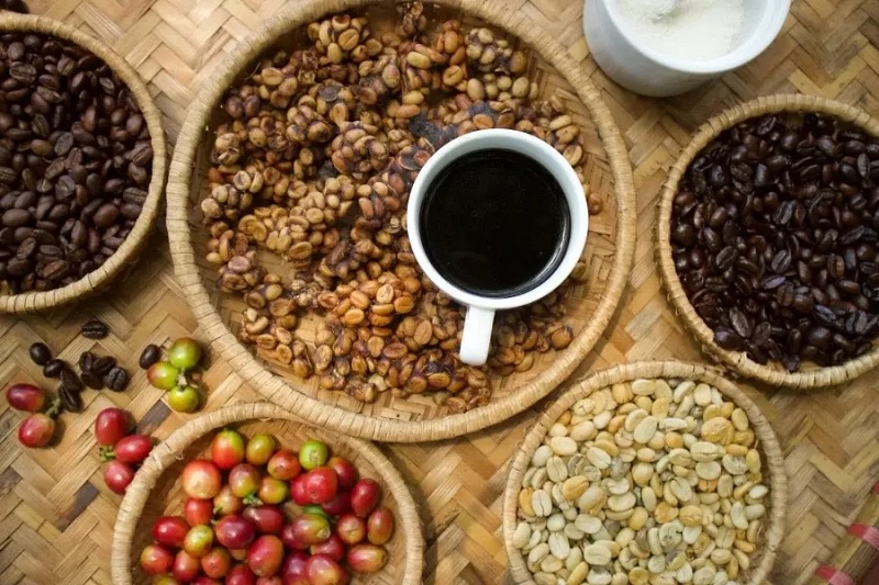 vi-sao-gu-ca-phe-cua-moi-nguoi-lai-khac-nhau