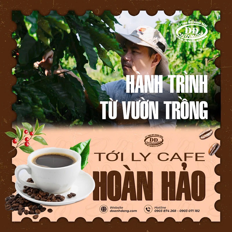 vi-sao-nen-chon-cafe-huu-co-doanh-dang
