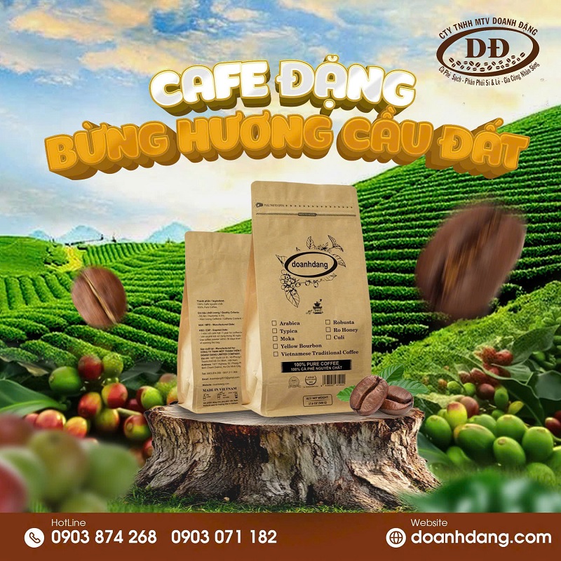 doanh-dang-noi-gin-giu-va-lan-toa-tinh-hoa-viet