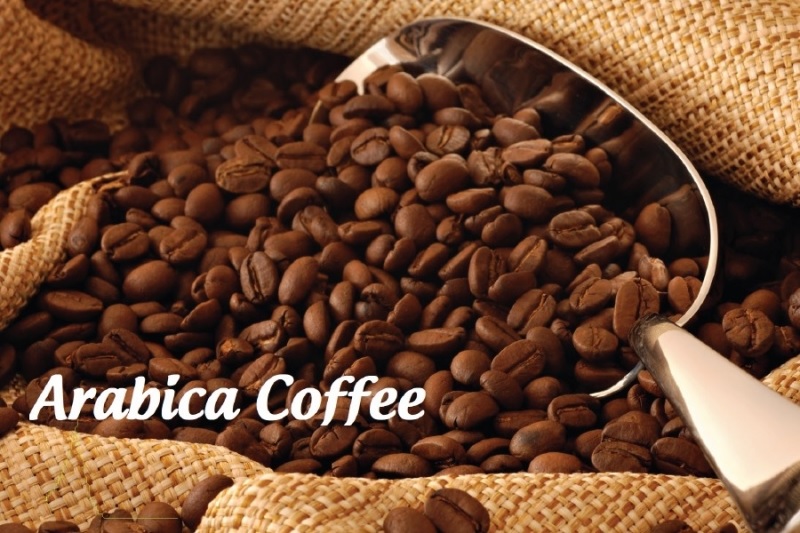 nhung-dac-diem-noi-bat-cua-ca-phe-hat-arabica