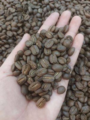 Nhân Arabica Cầu Đất