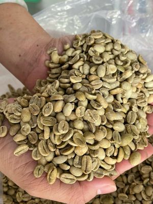 Nhân Arabica Cầu Đất