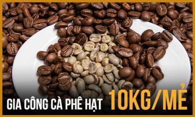 Gia công cafe hạt 10kg