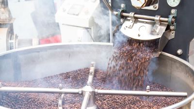 Moka (Thuần chủng)