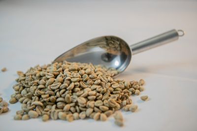Nhân Typica