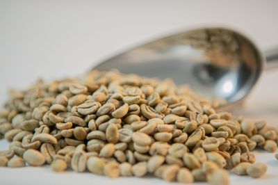 Nhân Arabica Cầu Đất