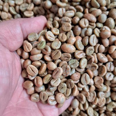 Nhân Robusta Natural