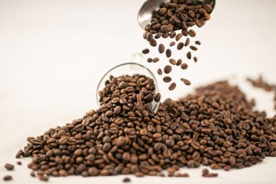 Robusta Sẻ S14 Rang Mộc