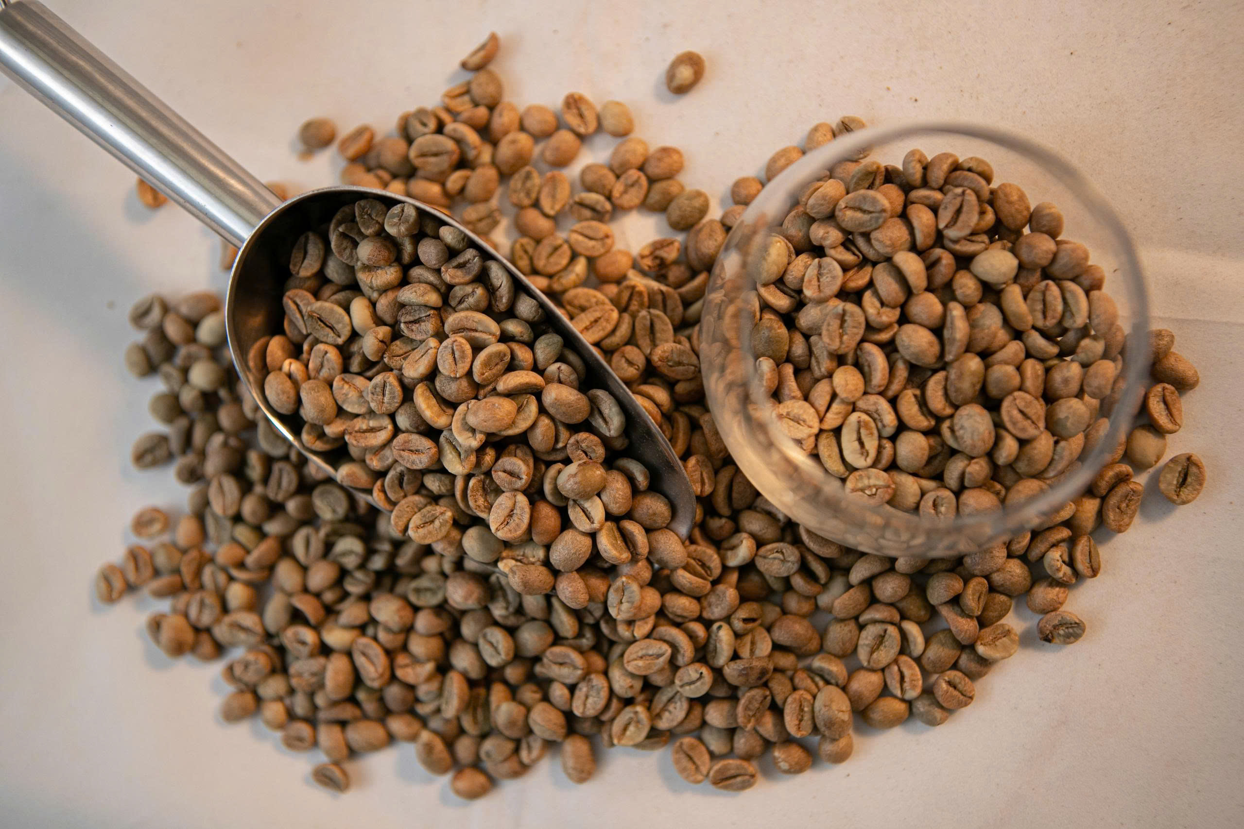 Nhân Robusta Natural