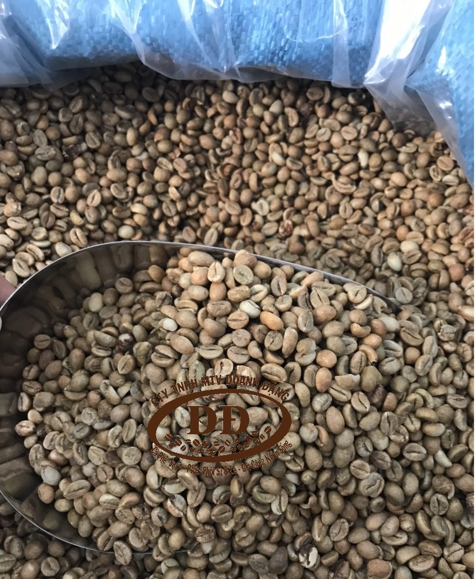 Nhân Robusta Washed