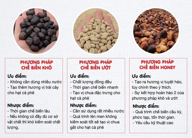 3-phuong-phap-so-che-ca-phe-pho-bien