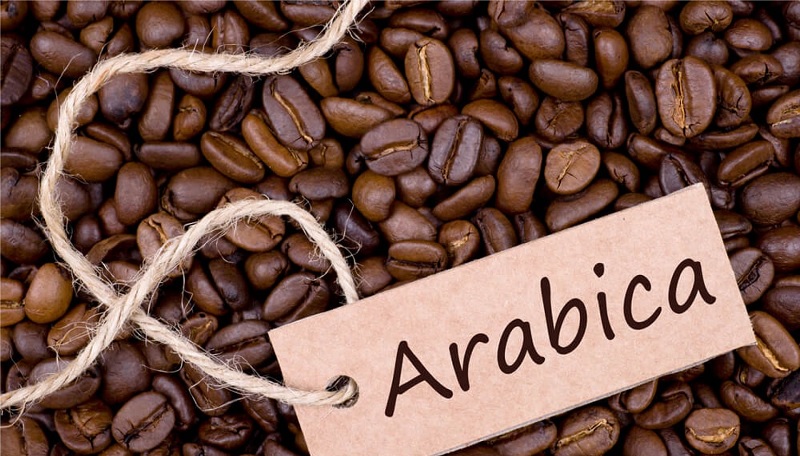bien-dong-gia-ca-phe-arabica