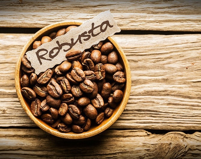 bien-dong-gia-ca-phe-robusta