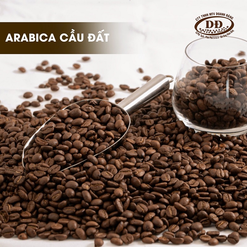 ca-phe-arabica-la-gi