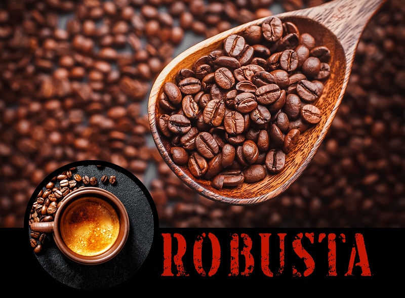 ca-phe-robusta