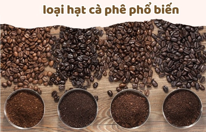 cac-loai-hat-ca-phe-pho-bien