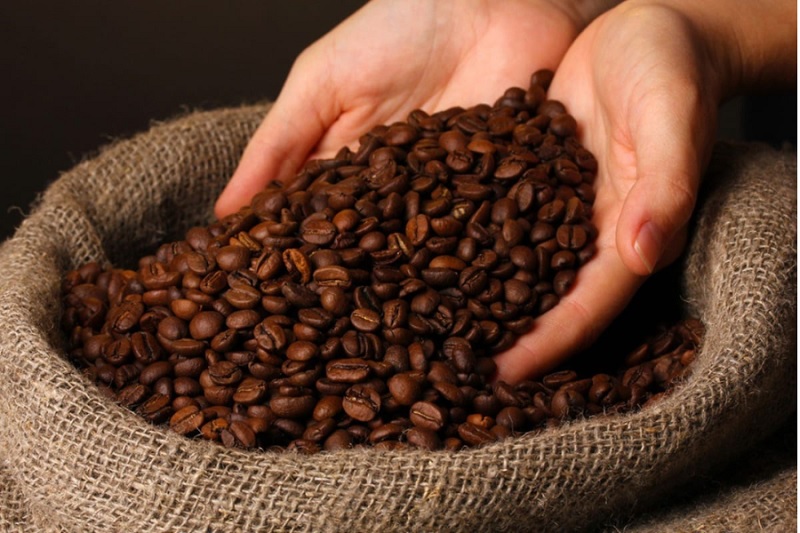 chat-luong-hat-dau-vao-la-nen-tang-quan-trong