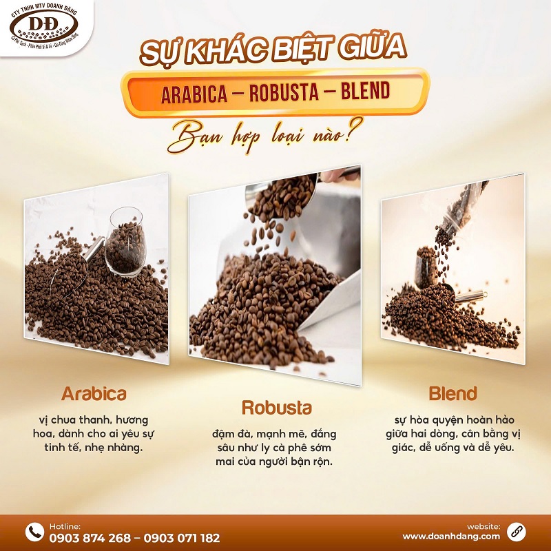 chon-loai-hat-ca-phe-la-quan-trong