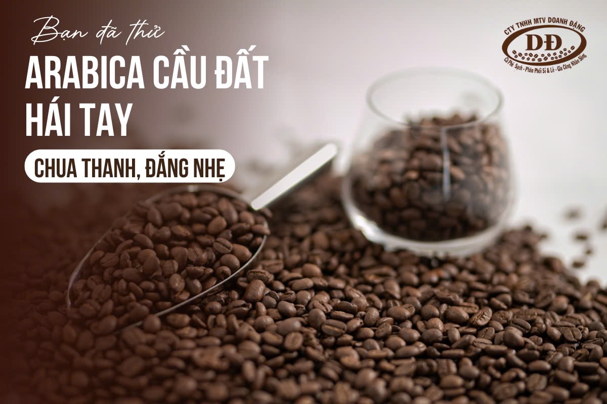 dac-diem-noi-bat-ca-phe-cau-dat