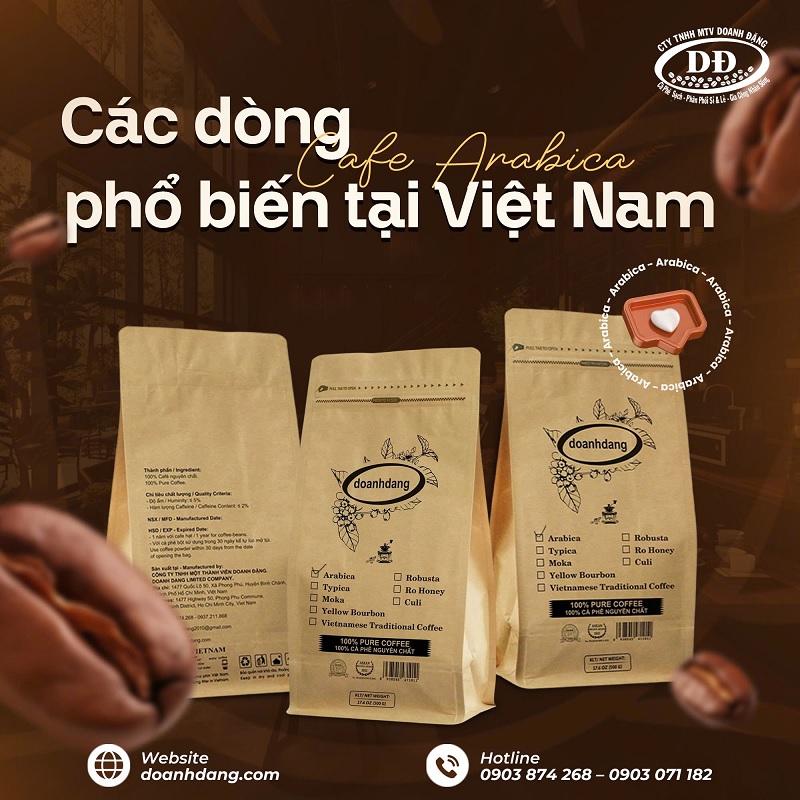 dia-chi-cung-cap-ca-phe-hat-arabica