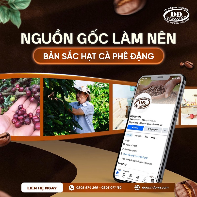 doanh-dang-phan-phoi-cung-cap-si-le-ca-phe-sach