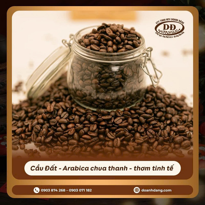 hat-arabica-tinh-te-va-sang-trong