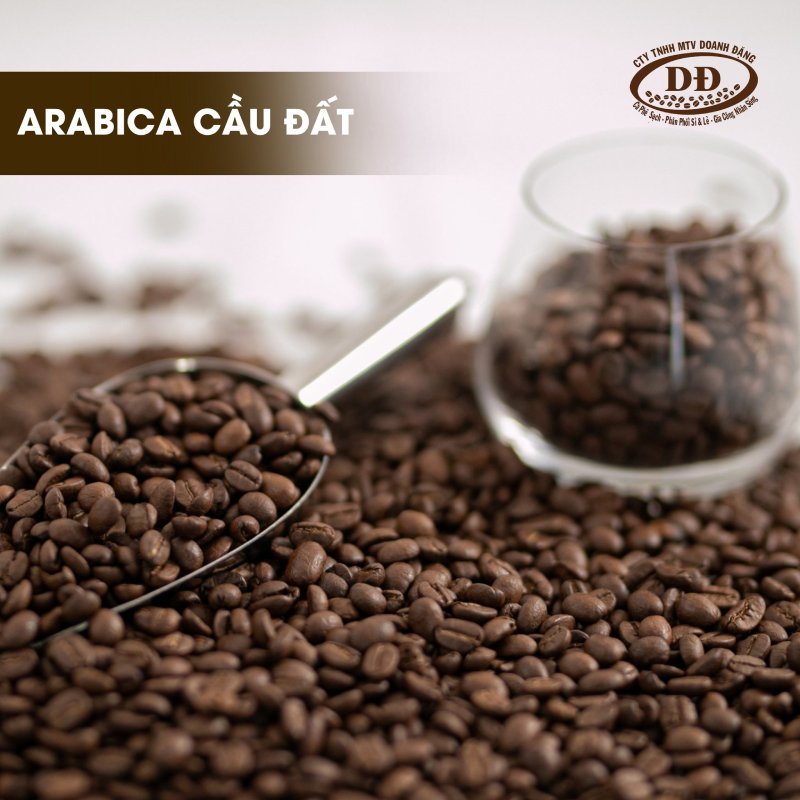 hat-ca-phe-nguyen-chat-arabica-cau-dat