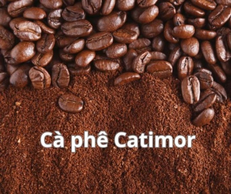 hat-ca-phe-nguyen-chat-catimor