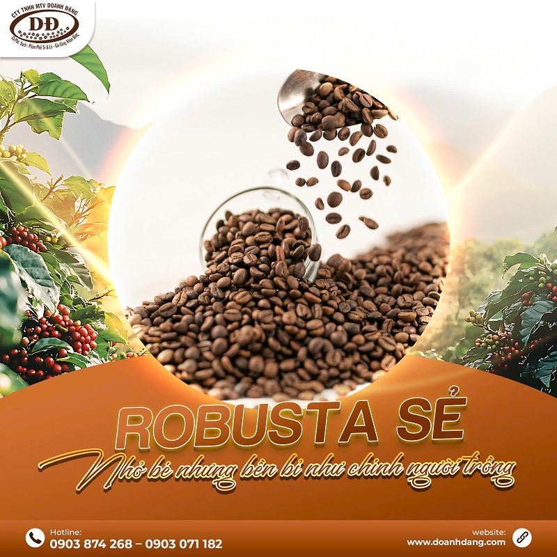 hat-robusta-manh-me-va-dam-vi