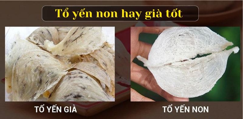 nen-chon-to-yen-nao-gia-tro-dinh-duong-cao