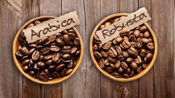 phoi-tron-ca-phe-arabica-va-robusta