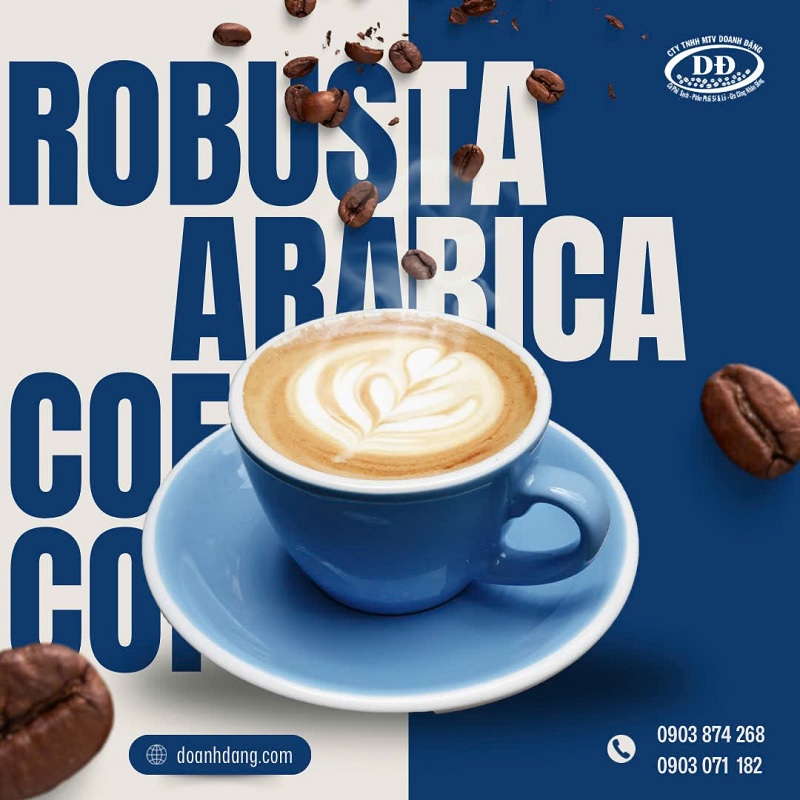 robusta-vi-dang-dam-da