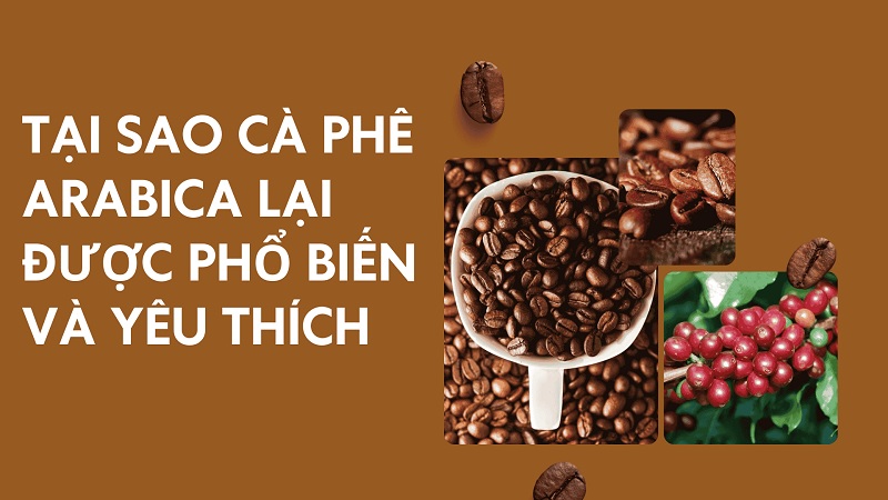 tai-sao-ca-phe-arabica-duoc-ua-chuong