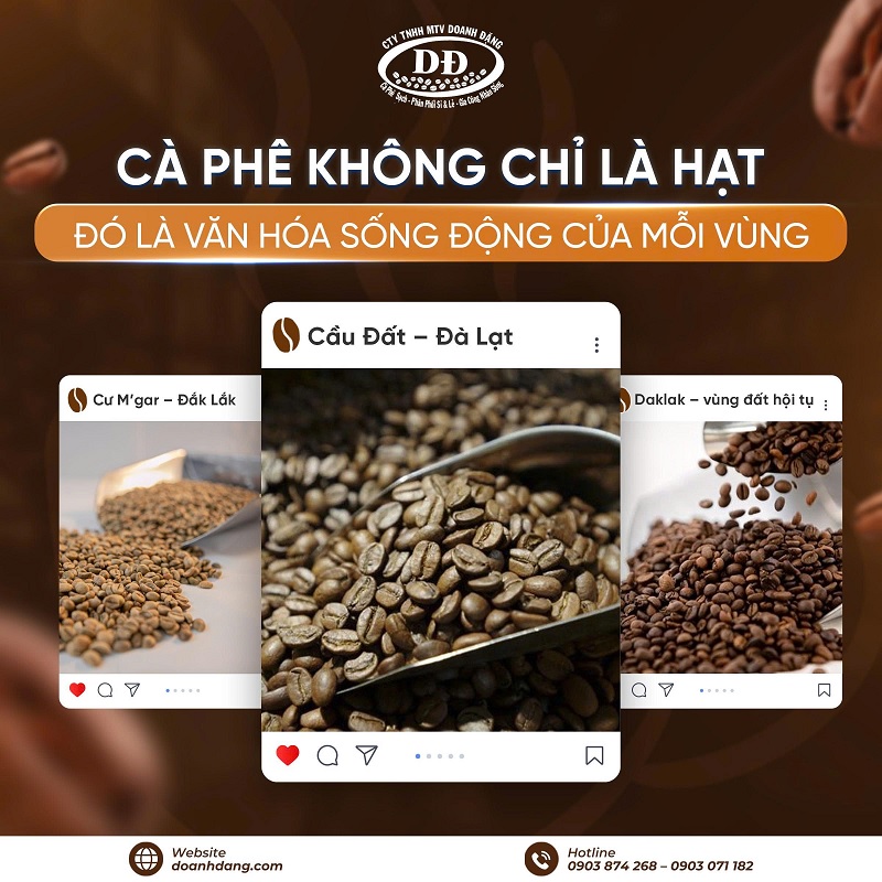 vi-sao-nen-chon-ca-phe-phoi-moc-tai-doanh-dang
