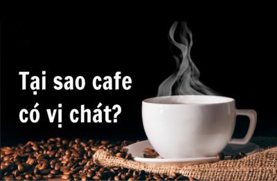 Tại sao c&agrave; ph&ecirc; c&oacute; vị ch&aacute;t?