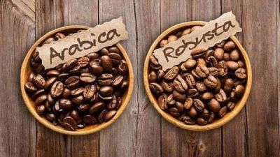 Cà phê phối trộn là gì? Công thức phối trộn cà phê Arabica và Robusta thơm