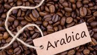 Giá cà phê Arabica và Robusta biến động ra sao thời gian qua?
