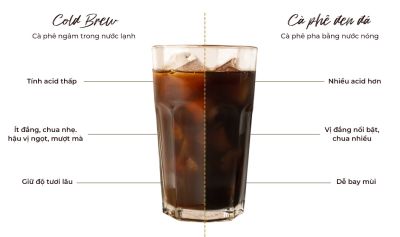 Cà phê Cold Brew là gì? Những lợi ích từ cà phê ủ lạnh