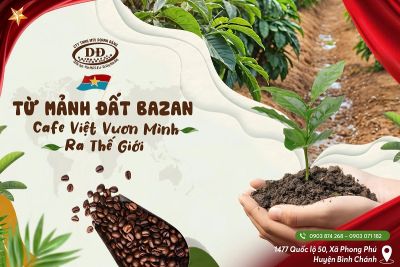Hành trình của hạt cafe Arabica Việt Nam - Hương vị đặc trưng Arabica Cầu Đất