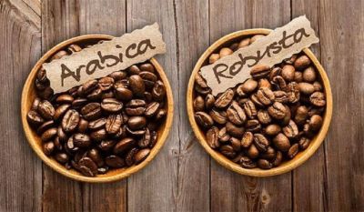 Hướng dẫn phân biệt cà phê Robusta và Arabica